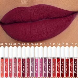 18-delige Waterdichte Vloeibare Lippenstift Set - Nude, Donkerbruin & Matte Rood Tinten | 24-Uur Langhoudende Lipgloss | Klaar voor Muziekfestivals | Geschikt voor Alle Huidtypes
