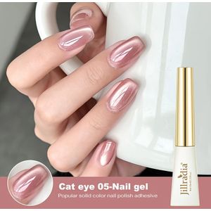 1st 10ml 2024 Nieuwe Kattenoog Magnetische Nagellak Vereist UV LED Lichtbestraling Nagelgel Zonder Magnetische Stok