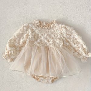 Elegante Kanten & Mesh Jurk met Lange Mouwen voor Meisjes - Perfect voor Lente/Herfst Feesten & Speciale Gelegenheden, Machinewasbaar