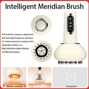 Nieuwe -Border Slimme Elektrische Meridiaanborstel Gua Sha Tool met Verwarming, Draagbare Oplaadbare Massager voor Thuisgebruik