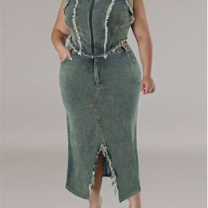 218380 -border Plus Size Denim Rok Set