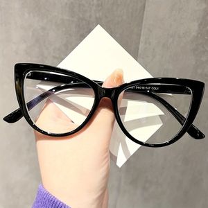 2025 Nieuwe Damesmode Kattenoog Luipaardprint TR90 Metalen Scharnier Helder Lens Montuur Decoratieve Bril