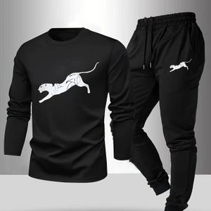 Heren Casual Sportset | T-shirt met ronde hals en korte mouwen en shorts, regular fit, licht rekbare stof, kleur, ideaal voor de zomer