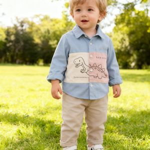 Lente Jongens Overhemd met Kraag en Lange Mouwen Tweedelige Set, Nieuwe Herfst Casual Kleurblok Outfit voor Babyjongens, Perfect voor Buiten