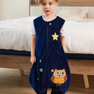 Kinderen Mouwloze Slaapkleding Vier Seizoenen Universele Temperatuur Badjas met Cartoon Ontwerp en Schattige Gespleten Poot Anti-Trappen Slapen Zak