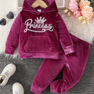 Babymeisjes 2-delige casual set met capuchon, lange mouwen en broek, winter/herfstkleding, voor buiten.