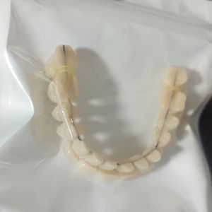 1 Set Tandheelkundige Opleidingskit - Dubbele Rij Kunsttanden Model, Gesimuleerde Tanden voor Mondonderwijs, Niet-Elektrische Tandheelkundige Onderwijsinstrumenten en Accessoires