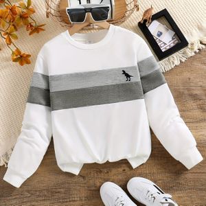 Jongens Lange Mouwen Ronde Hals Gebreide Kleurblok Trui voor Lente en Herfst in Maat M tot G