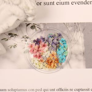 Een doos van 100 stuks 50 stuks Nieuwe handgemaakte gedroogde bloemenversieringen DIY driedimensionale nageldecoratie