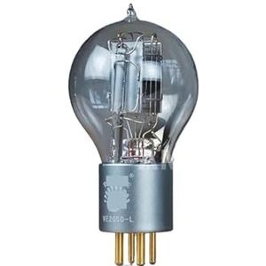 WE205D WE205D-L vacuüm buis audio versterker precisie matching (2 stuks)