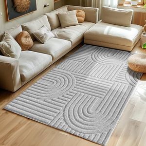Hoogpolig vloerkleed voor de woonkamer, keukentapijt, slaapkamer tapijt Scandinavisch en boho tapijt met 3D-ontwerp, kleur: Zilver, maat: 140x200 cm