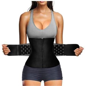 Gorilla Sports Abdominal Training Loops