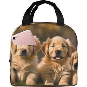SUUNNY Golden Retriever Honden Puppies Huisdieren Print Geïsoleerde Lunch Bag Tote Bag, Warmte Lunchbox Koeler Thermische Tas voor Werk