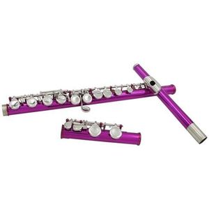 studenten fluit 16-holes C-sleutelfluit Voor Beginnende Studenten Met Dooshandschoenenaccessoires (Color : Purple)