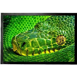 1art1 Slangen Side-Striped Palm Viper, Bothriechis Lateralis II Deurmat 60x40 cm