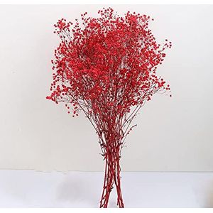 Hanyzcin Gypsophila Bloemen, 120g 65cm Gedroogde Bloem Gypsophila Boeketten Natuurlijke Bloemstukken voor DIY Craft, Kaart Decor, Bruiloft Feestdecoratie (Rood)