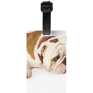 Engelse Bulldog fotografie van droevige en vermoeide bulldog met bruine crème, bagagelabels PVC naamplaatje reiskoffer identificatie ID-tags duurzaam bagagelabel
