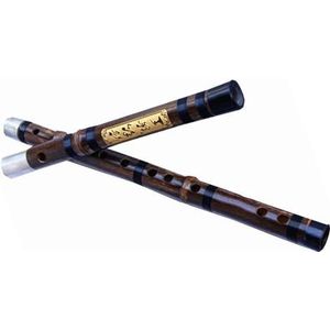 Bamboefluit Chinese bamboefluit Professioneel spelend dwarsfluitinstrument geschikt voor beginners (Color : G)