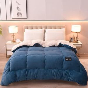 HHDOMLTH Warm dubbelzijdig fluwelen dekbed pluche dekbed, lamskasjmier warme quilt kern, ademend warm beddekbed, pluizig ultra zacht beddengoed voor alle seizoenen voor koud weer (blauw, 200 x 230 cm