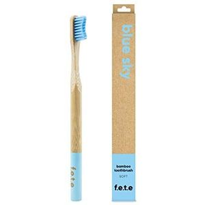 Bamboe Tandenborstel Beste Milieuvriendelijk Biologisch afbreekbaar Bamboe Handvatten en BPA-vrije Nylon Borstelharen Voor Natuurlijke Tandheelkundige Zorg Perfect Milieuvriendelijk Single Soft Bristle Blauw