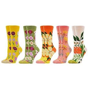 WeciBor Damessokken, set van 5 paar, van katoen, kleurrijke sokken, met grappige motieven, gekke meerkleurige sokken, 39-42 EU