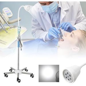 LED Gynaecologie Onderzoekslamp, Zwanenhals Onderzoekslamp met Mobiele Basis & Wielen, Staande LED Schaduwloze Medische Onderzoekslamp, voor Gynaecologie Oftalmologie Stomatologie