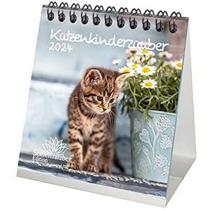 Kattenkindermagie kalender voor 2024, formaat 10 cm x 10 cm, kattenbaby's - zielentauber