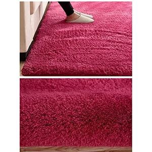 Tapijt Shaggy Plush Area Rug White Fluffy Rug Carpets for Living Room Decor Faux Fur Anti Skid zacht tapijt for de slaapkamer Grijs Tapijt Woonkamer (Color : 10, Size : 60x160cm)