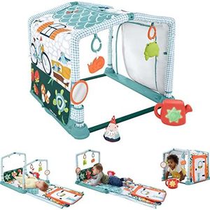 Fisher-Price In-Ear Oortelefoon N-Ear Oortelefoon 3-in-1 Crawl & Play Activity Gym - Smilestones