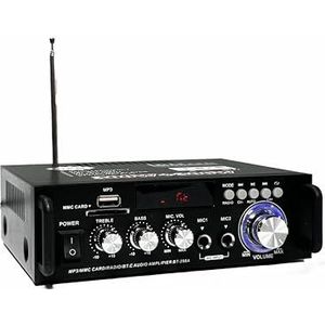 300W + 300W Audio Versterker Geluid 12V/220V LCD 2CH HiFi Audio Stereo Stereo BT FM Radio Draagbare Home