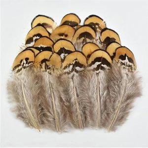 Natuurlijke Kip Vogels Eend Pauw Fazant Veer Kleine Adelaar Parelhoenveren voor Ambachtelijke Handwerk Accessoires Decoratie-Size 3-7CM_c-500 Stuk