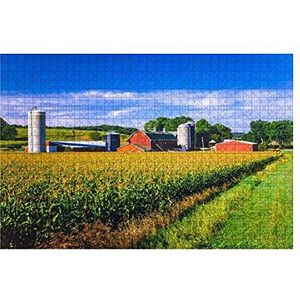 Puzzel 1000 stukjes stok foto's van maïsteelt en Iowa Boerderij Voor Oogsttijd, Landelijk Landschap Speciale Puzzel Voor Volwassenen Puzzelsets Decompressie 1000 Stuks Puzzels Grote Puzzels