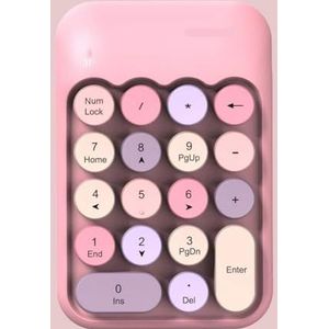 QPSJXN Compact draadloos numeriek toetsenbord voor laptop en computer -Retro -Style 2.4G draadloos extern toetsenbord (Pink Color)