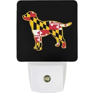 Golden Retriever Hond Met Maryland Vlag Warm Wit Nachtlampje Plug In Muur Schemering naar Dawn Sensor Lichten Binnenshuis Trappen Hal