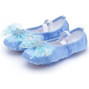 Balletschoenen mooie prinses dans zachte zolen balletschoen kinderen meisjes kat klauw Chinese ballerina oefeningen schoenen dansschoenen, ijsblauw, 39 EU