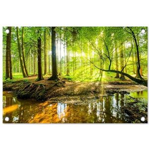 MuchoWow© Tuinposter 60x40 cm Balkon Tuindecoratie Poster Garden Outdoor Posters Tuin Decoratie Buiten - Tuinposters Voor Buiten - Bos - Landschap - Water - Bomen - Zon - Groen - Natuur