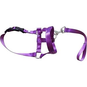 ZHAOCHEN. Verstelbare harnas Gentle Leader Riem for halsband Snuit Dog Halter Head Collar Dressuurlijn Leader No Pull Bite Bandjes (Color : D, Size : XL)