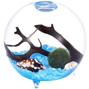 Footed Aquarium kit Globe Aquatic Kit Orb Terrarium Glazen Vaas met Voeten, Levende Mosballen Kiezels Zeeschelp en Zwart Ventilator Koraal Gebruikt voor Tafeldecoratie Cadeau voor Vrienden (2,4 ""x 2,55 "", Stijl F)