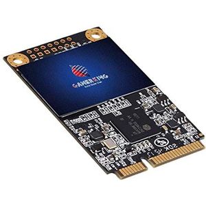 Gamerking SSD msata 1 TB interne Solid State Drive Hoge Prestaties Harde Schijf voor Desktop Laptop SATA3 6 Gb/s Mini PC (1 TB, MSATA)