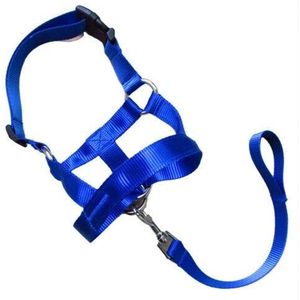 ZHAOCHEN. Training Puppy Head Collar Halter Pet Mouth Traction Set muilkorf Strap S-XXL (Color : Blue, Size : L)