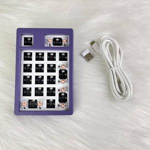 QPSJXN Volgende keer NT19 Bluetooth KEYPAD BLUETOOTH Gepersonaliseerd Wireless Numpad voor Gaming PC Accessoires 3 (paars)