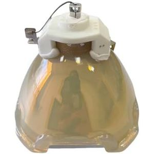 ET-LAE16 / POA-LMP147 Projectorlamp met behuizing for PT-EX16K PLC-HF15000L; EIKI LC-HDT2000, LC-XT6, LC-XT6I projectoren