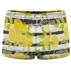 Citroenen op Donkergrijze Strepen Heren Boxer Slips Sexy Shorts Mesh Boxers Ondergoed Ademend Onderbroek Thong