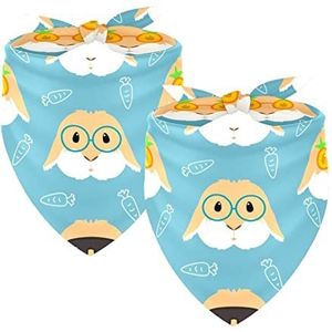 2 Pack Hond Bandana Meisje Jongen Huisdier Slabbetjes Hond Sjaal Hoofddoek Wasbare Bandana's Accessoires Voor Kleine Middelgrote Honden Puppy Cat, Mode Oor Glazen