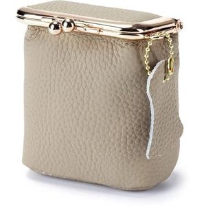 Lippenstifthouder Lippenstiftdoosje, kleine cosmetische tas, gouden hasp-etui, lippenstift organizer, dameslippenstifthouder(Grey)