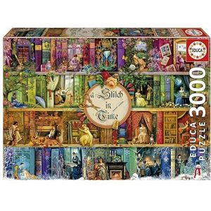 Educa - A Stitch in Time | puzzel met 3000 stukjes voor volwassenen, afmetingen: 120 x 85 cm, inclusief service voor verloren onderdelen tot voorraad vanaf 14 jaar (19946)