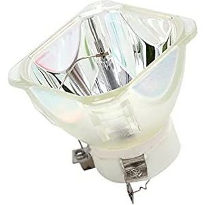 Projectorlamp NP07LP geschikt Compatibel met NEC NP300, NP410W, NP510W, NP510WS, NP600G, NP600S Vervangende projectorlamp (kleur: kale lamp) (Color : Bare Lamp)