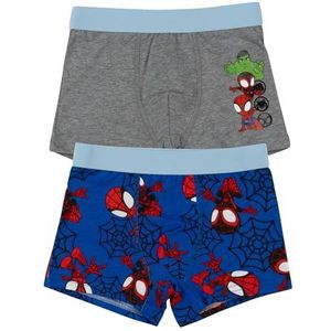 Marvel Spiderman boxershorts voor jongens - Spidey kinderondergoed, onderbroek, boxer, blauw/grijs (verpakking van 2), blauw/grijs, 98-104