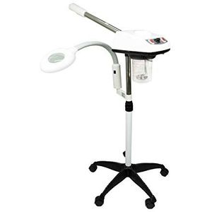 Sanqiao 2 in 1 Warm en Koud Spary Led 5X Vergrotende gezichtsstoomboot Dubbele buis Draagbaar, multifunctioneel gezicht Hydraterende schoonheid Instrument Home Skin Care Tool