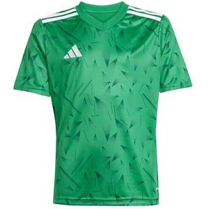 adidas Performance Team Icon 25 Tricot Kids groenwit, 116